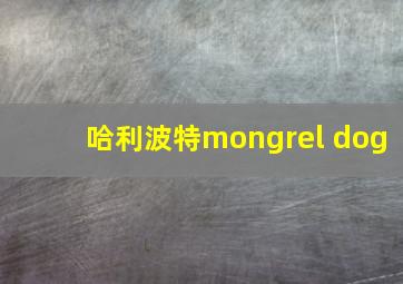 哈利波特mongrel dog